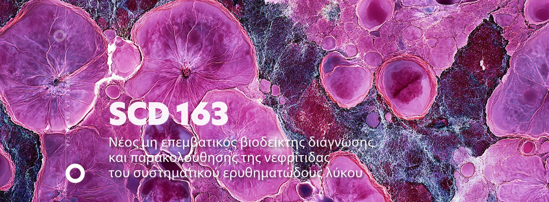 Analysis_Webdesign_VOL6-06