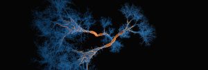Neurofilament Light Chain